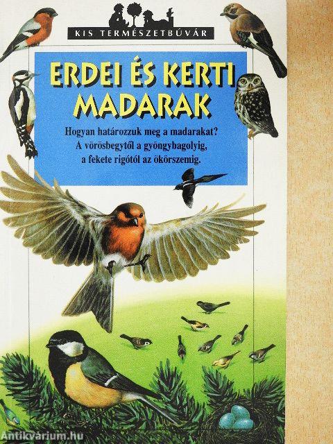 Erdei és kerti madarak