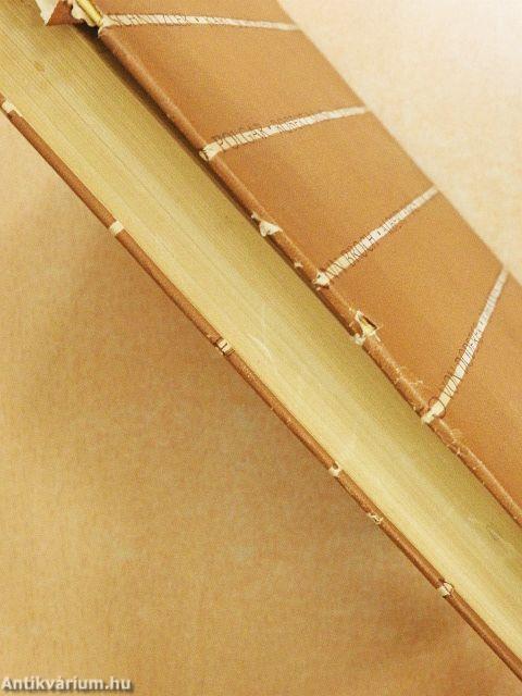 Mai osztrák elbeszélők