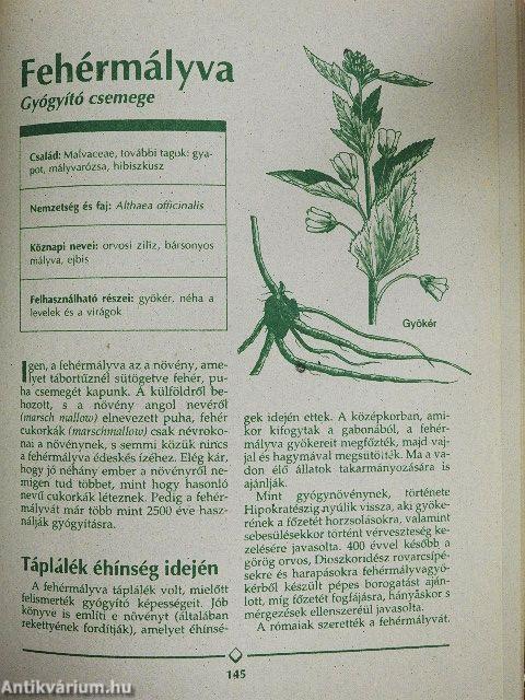 Gyógynövény enciklopédia