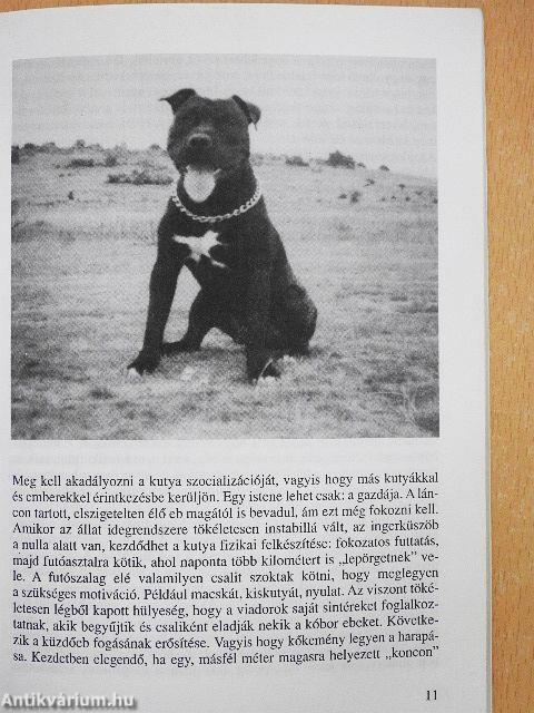 Az ítélet: halál?