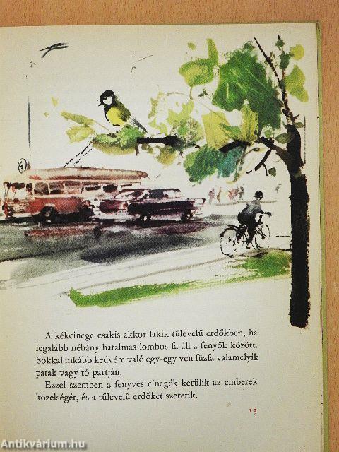 Tollas gömböcskék