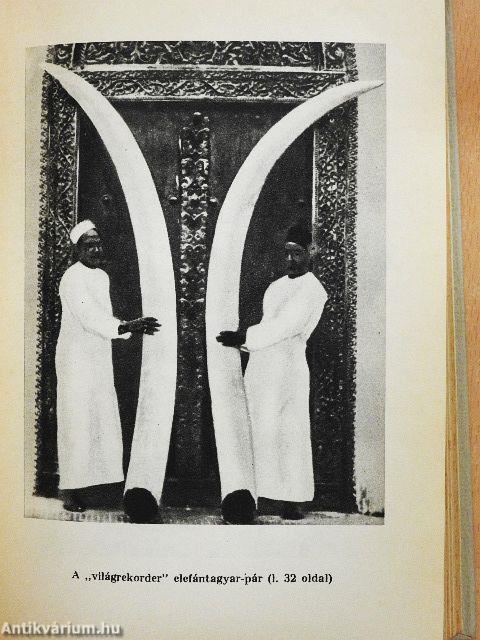 Híres vadászkalandok