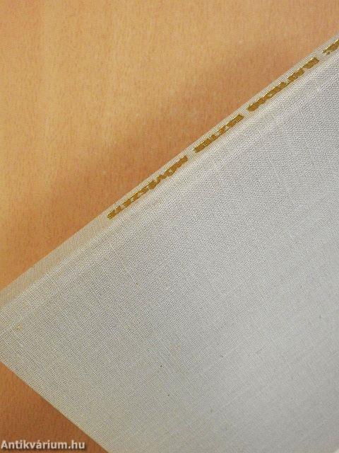 Mattioni Eszter művészete