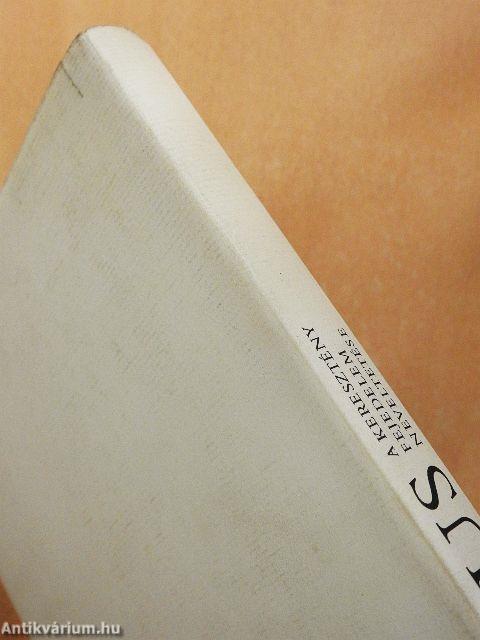 A keresztény fejedelem neveltetése