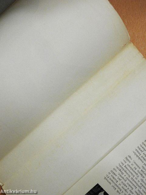 Negyven prédikátor