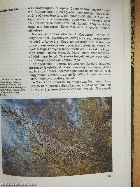 Varázslatos növények - különös történetek