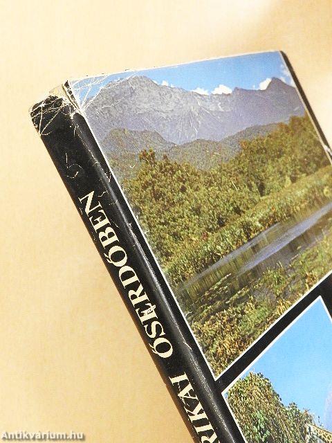 Ketten az Afrikai őserdőben