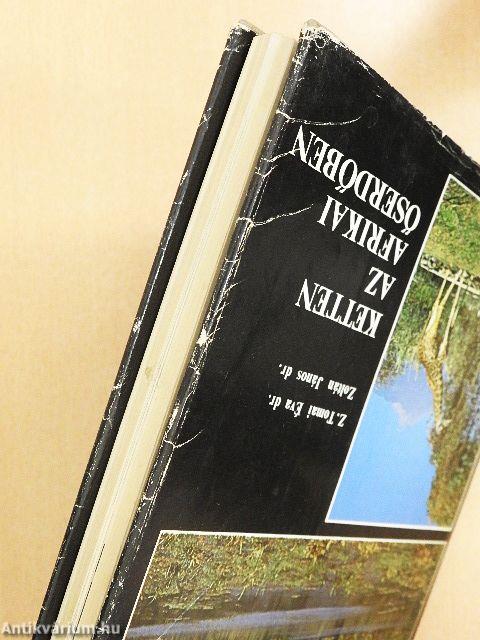 Ketten az Afrikai őserdőben