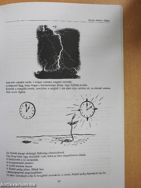 Táltos iskola IX-X. Kurzus