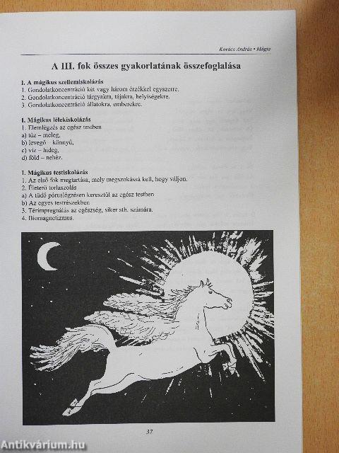 Táltos iskola IX-X. Kurzus