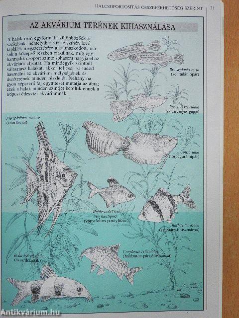 Akvarista kézikönyv