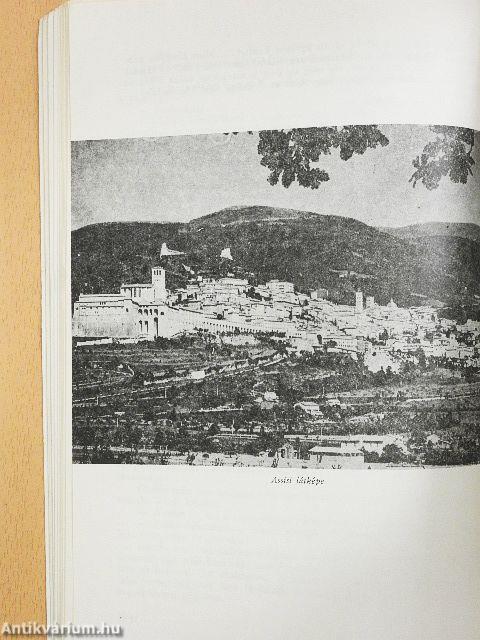 A Naptestvér regénye