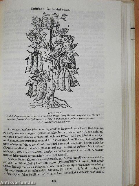 Növényrendszertan az ökonómbotanika alapjaival 1.