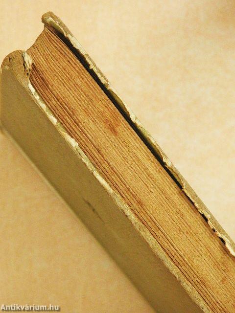 Négy apának egy leánya