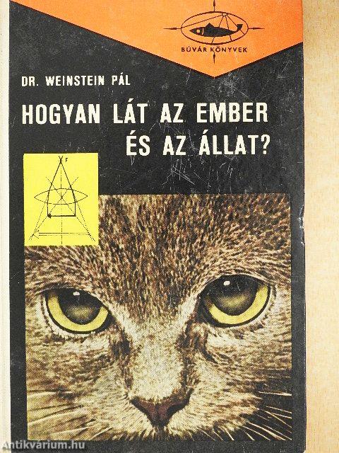 Hogyan lát az ember és az állat?
