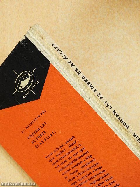 Hogyan lát az ember és az állat?