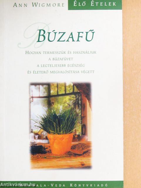 Búzafű