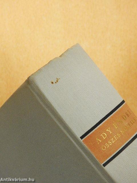 Ady Endre összes novellái