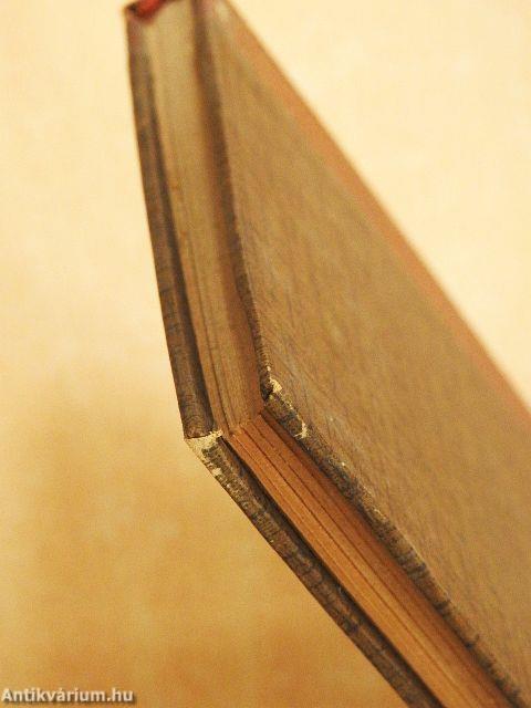 Ubryk Borbála története