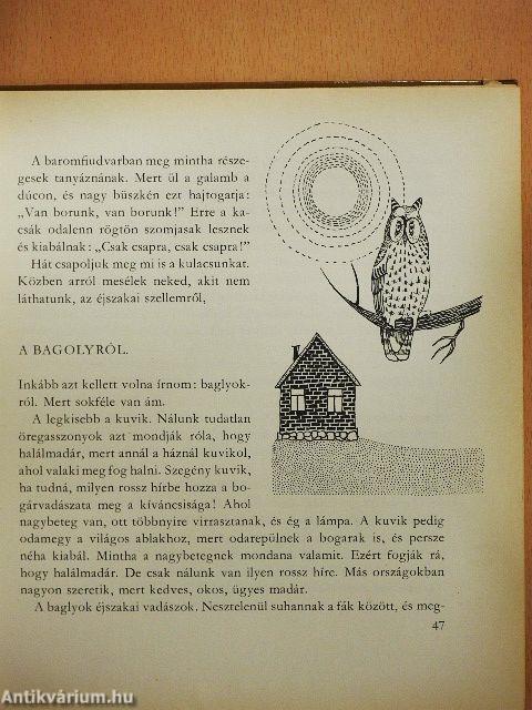 Kisanna Erdőországban