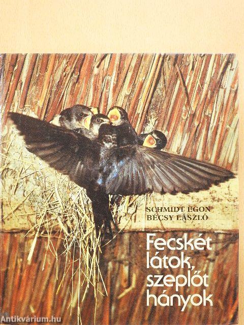 Fecskét látok, szeplőt hányok