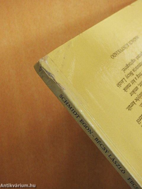 Fecskét látok, szeplőt hányok