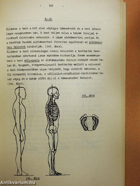 Funkcionális anatómia I-II.