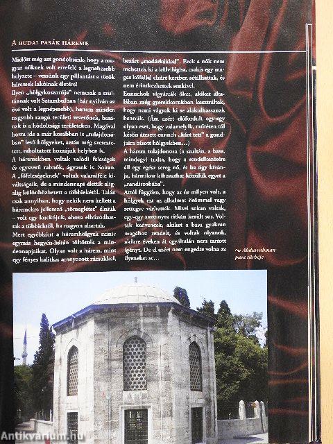 Harcos hölgyek, harcosok hölgyei