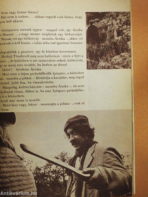 Szegény Dzsoni és Árnika