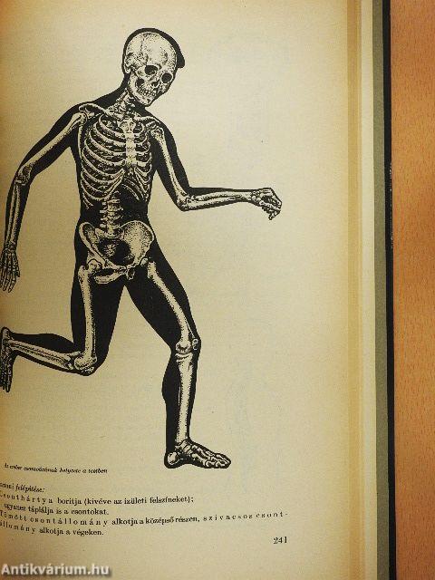 Biológiai önképző