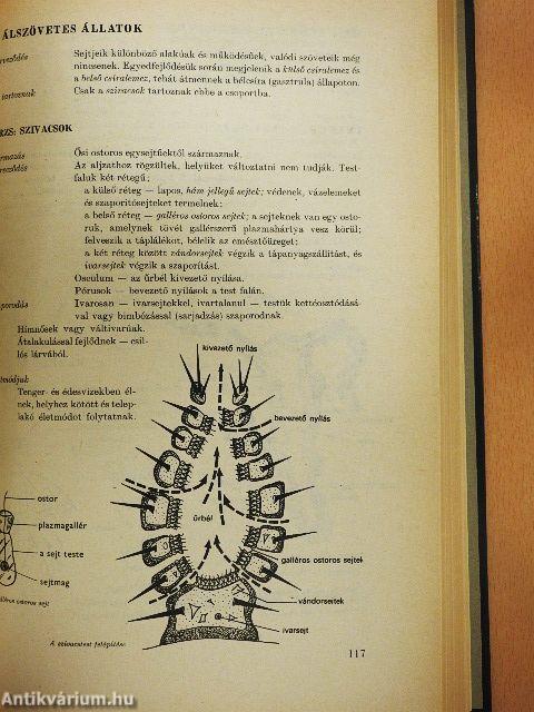 Biológiai önképző