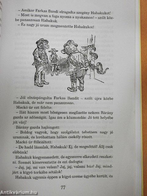 Mackó úr szárazon és vizen