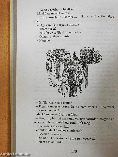 Mackó úr szárazon és vizen