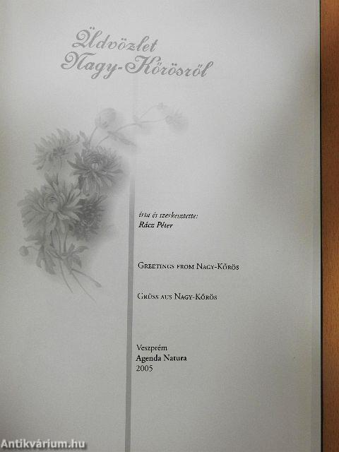 Üdvözlet Nagy-Kőrösről