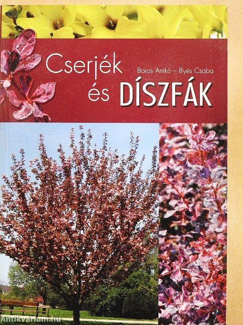Cserjék és díszfák