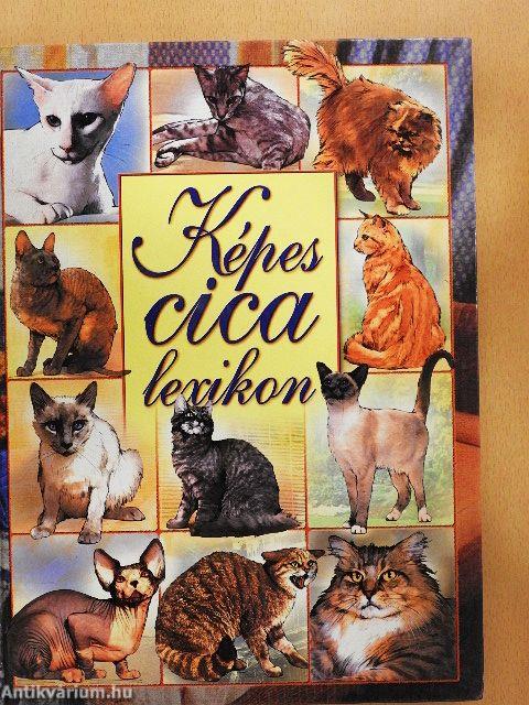 Képes cicalexikon