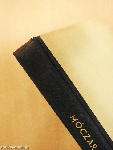 Rovarok közelről...