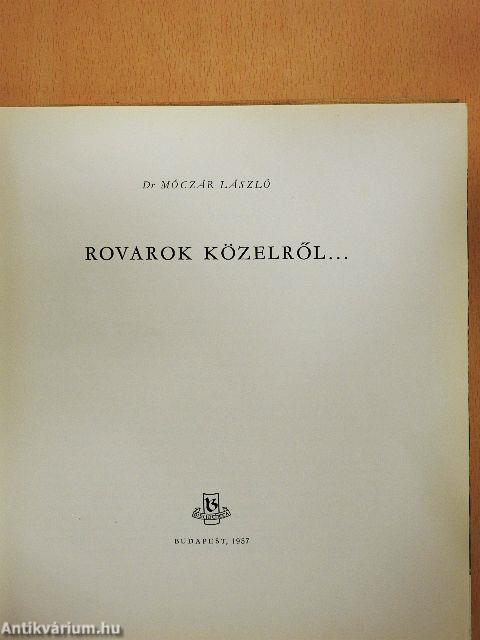 Rovarok közelről...