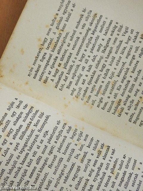 Az antikrisztus csodái I-II.