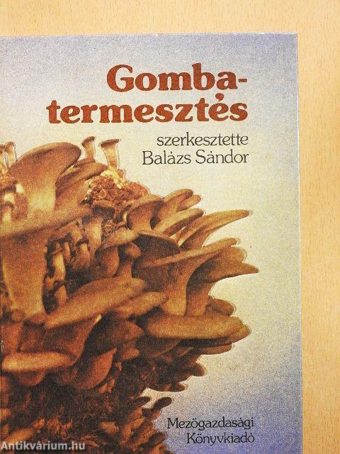 Gombatermesztés