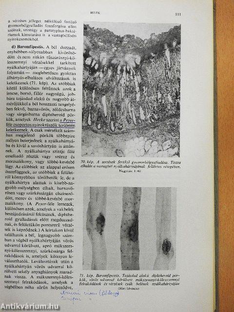 Háziállatok részletes kórbonctana