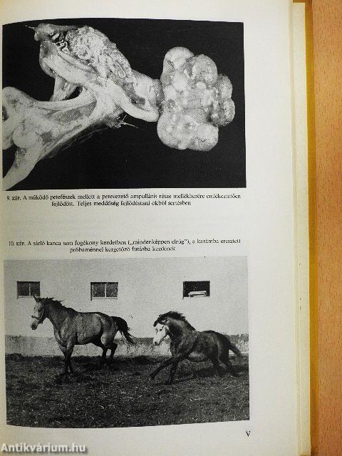 A nőivarú állatok szaporodásbiológiája