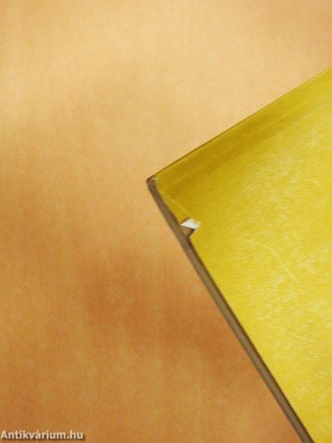 Pest-budai hétköznapok