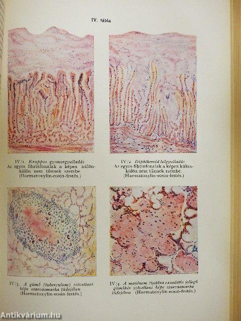 Állatorvosi általános kórtan