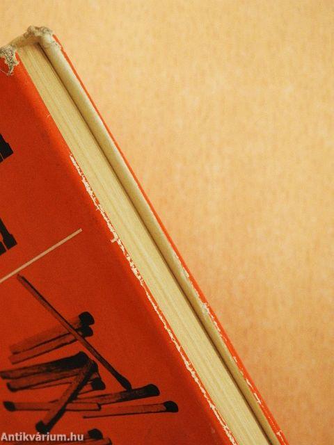 Egy szolgálati út vége