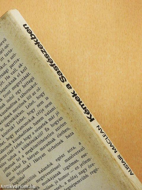 Kémek a Sasfészekben