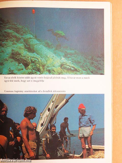 "45 kötet a Világjárók sorozatból (nem teljes sorozat)"