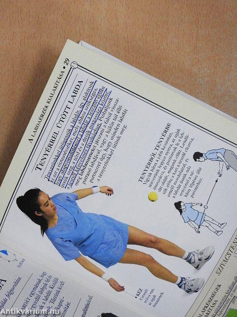 Hétvégi tenisziskola