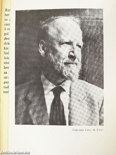 Ripacs Martin