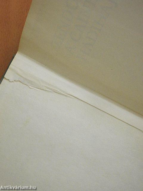 Zendülés a Caine hadihajón